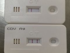 -爱侣宠医·鹦鹉专科·小型哺乳类·异宠专科(灵石路店)