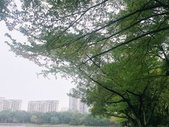 -南宁南湖公园
