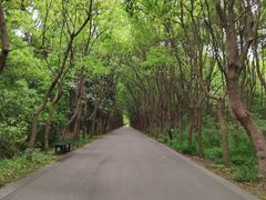 -同里国家湿地公园
