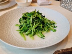 -香乐园·淮扬菜中餐厅·Shang Garden(福田香格里拉店)