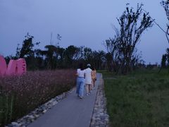 -白鹭湾湿地公园