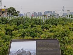 -乌山风景区