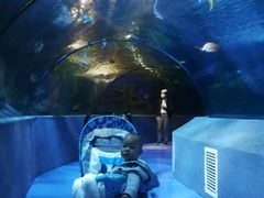 -太平洋海底世界