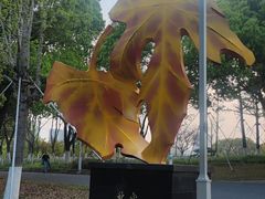 -白塘生态植物园