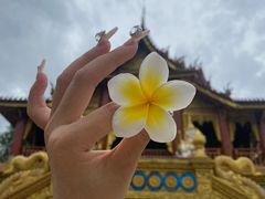-西双版纳总佛寺