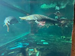 -华夏文旅西安度假区