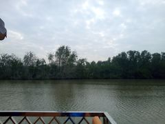 -大湾区中央湿地公园
