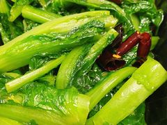 椒油莴笋尖-西贝莜面村(当代商城店)