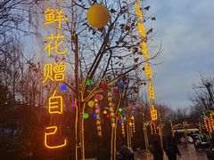-芜湖方特东方神画