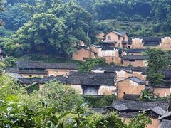 -杨家堂村