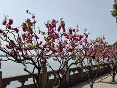 -颐和园