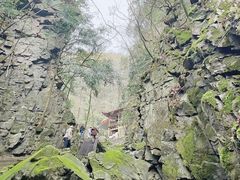 -藏龙百瀑风景区