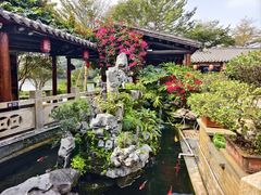 -顺德了能馆(虎门店)