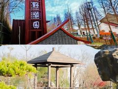 -广富林郊野公园