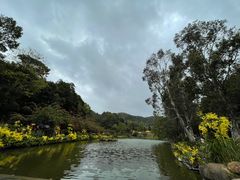 -深圳仙湖植物园