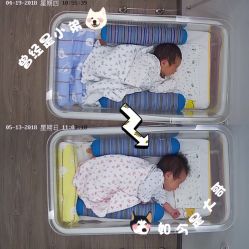 -海豚湾高端月子会所(黄浦店)