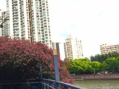 -苏州河梦清园环保主题公园