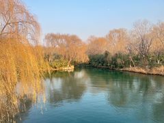 -济南大明湖景区