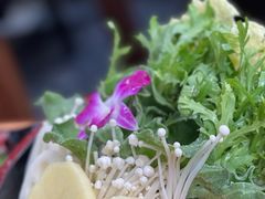 -束河人家(南锣鼓巷店)