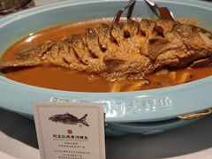 -阿五黄河大鲤鱼(英协路店)