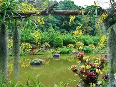 -深圳仙湖植物园