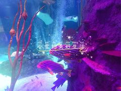 -沈阳海洋探索中心