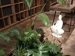 -邈墨茶馆(大兜路1号店)