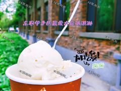 -东北农业大学