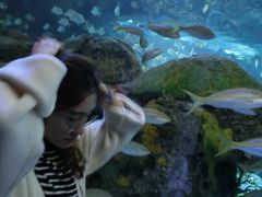 -瑞普利水族馆