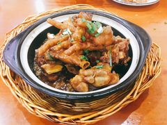 -全乐鱼馆·淳牌有机鱼直营店