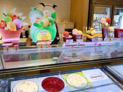 -哈根达斯(西安北郊店)