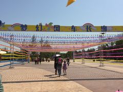 -武清南湖绿博园