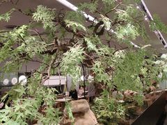 -绿茶餐厅(龙湖杭州金沙天街店)