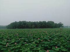-颐和园-景明楼