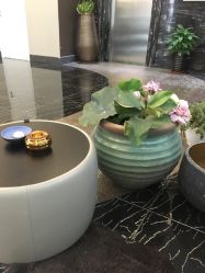 -上海首尔丽格医疗美容医院