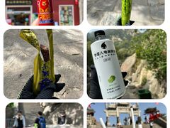 -泰山风景名胜区