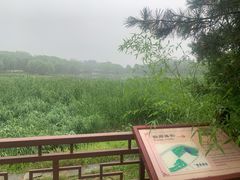 -北坞公园