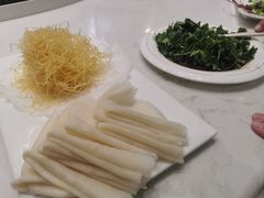 -丁老爷子苏香圆