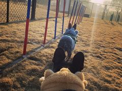 -太阳岛度假酒店