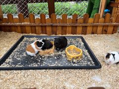 -珠海海泉湾神秘岛亲子乐园