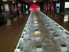 -青岛贝壳博物馆
