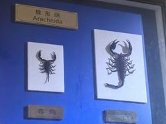 -上海昆虫博物馆