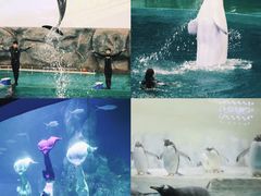 -威海华夏城景区