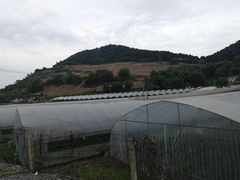 -普迪生态园