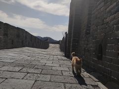 -慕田峪长城