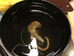 -竹叶亭(银座店)