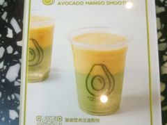 -油梨树AVOCADO TREE(顺义新国展店)