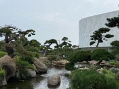 -罗红摄影艺术馆