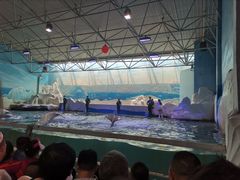 -秦皇岛乐岛海洋王国