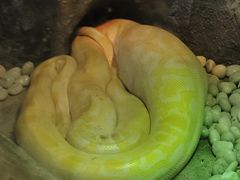 -石家庄市动物园